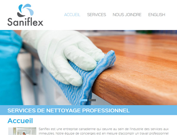 Site de Saniflex